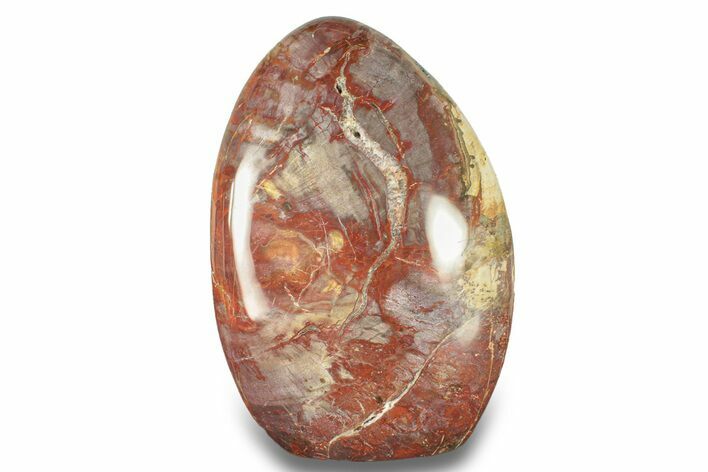 Free-Standing, Polished Petrified Wood - Madagascar #271818